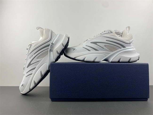 FashionForward DIOR B44 Blade 3SN306ZEG 999