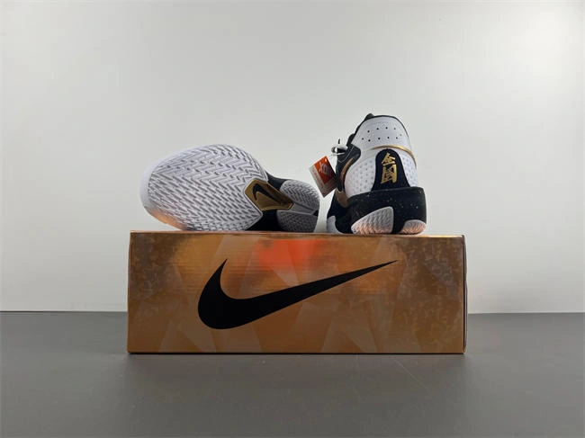 Nike Air ZoomX G.T. Cut 3  DV2918- Sophisticated 5289