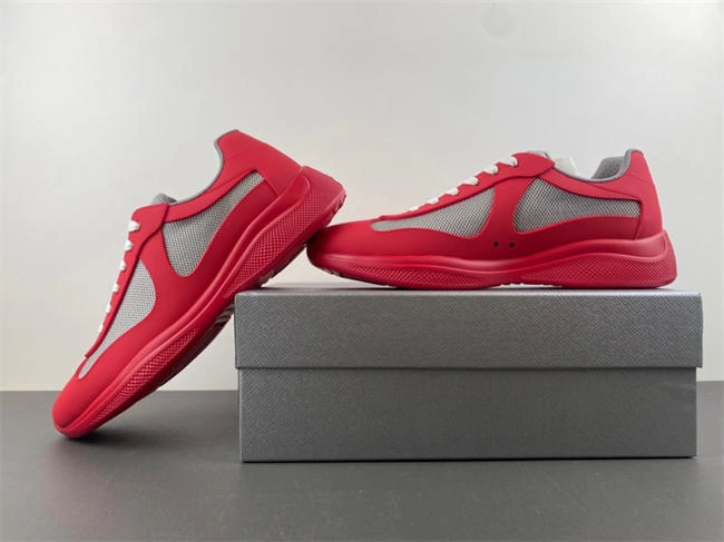 Prada America Colorful 3193